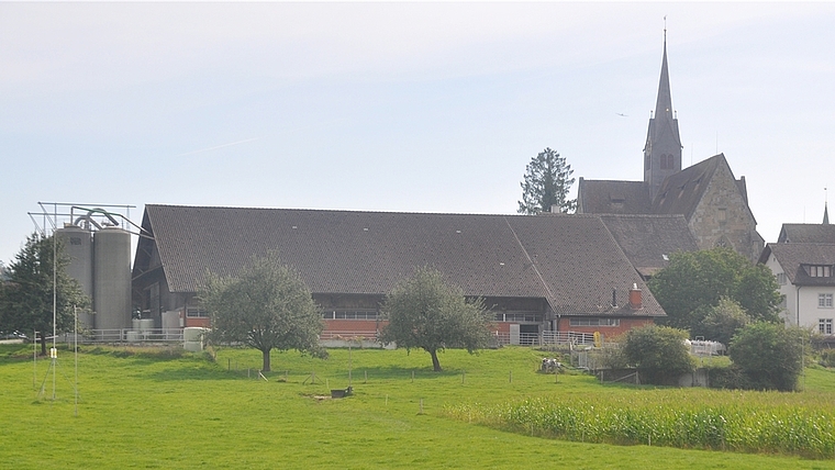 Zu dominant und zu weit abgesetzt vom Betriebszentrum: Die kantonale Baudirektion hält den neuen Boxenlaufstall auf der Westseite der Klosteranlage für nicht bewilligungsfähig. (Bild Werner Schneiter)