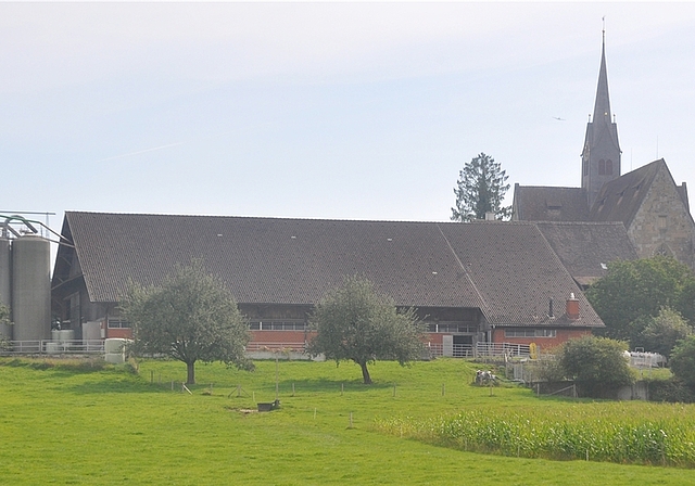 Zu dominant und zu weit abgesetzt vom Betriebszentrum: Die kantonale Baudirektion hält den neuen Boxenlaufstall auf der Westseite der Klosteranlage für nicht bewilligungsfähig. (Bild Werner Schneiter)