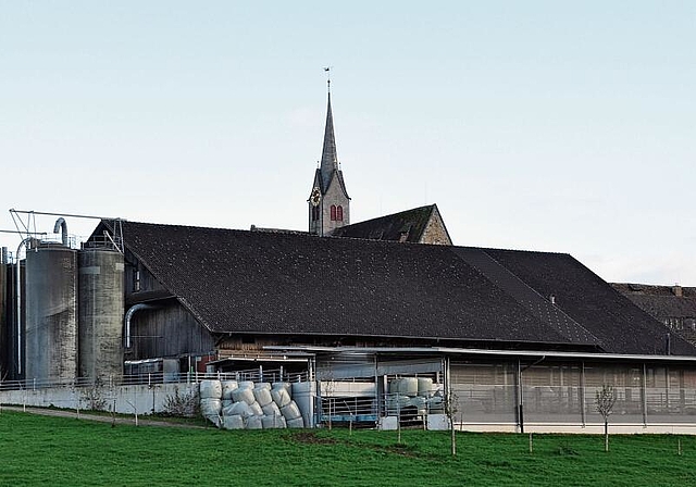 Neben drei weiteren Gebäuden soll die grosse Viehscheune des landwirtschaftlichen Pächterhauses («extra muros») mit einer Fotovoltaikanlage bestückt werden. (Bild Werner Schneiter)