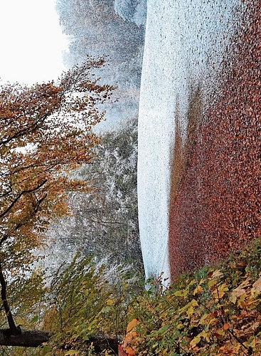 November 2023: «Herbst und Winter grüssen einander in bunten Farben und mit wirbelnden Flocken in Weiss», hat Johannes Zürcher zu seiner Einsendung geschrieben.