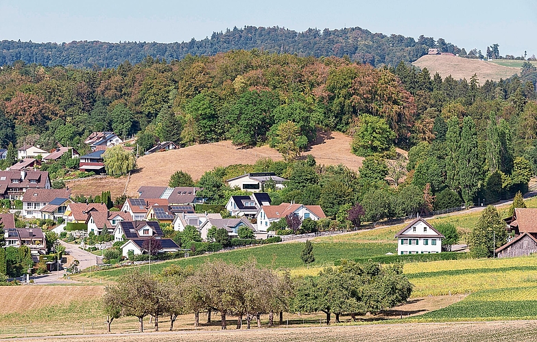 Wald bei Bonstetten: Bei den braunlich gefärbten Bäumen auf dem Hügel oberhalb der Häuser handelt es sich vor allem um Buchen. Sie leiden extrem unter dem Trockenheits-Stress. Normalerweise verlieren sie ihre grüne Farbe erst viel später. Wald bei Bonstetten: Bei den braunlich gefärbten Bäumen auf dem Hügel oberhalb der Häuser handelt es sich vor allem um Buchen. Sie leiden extrem unter dem Trockenheits-Stress. Normalerweise verlieren sie ihre grüne Farbe erst viel später.
