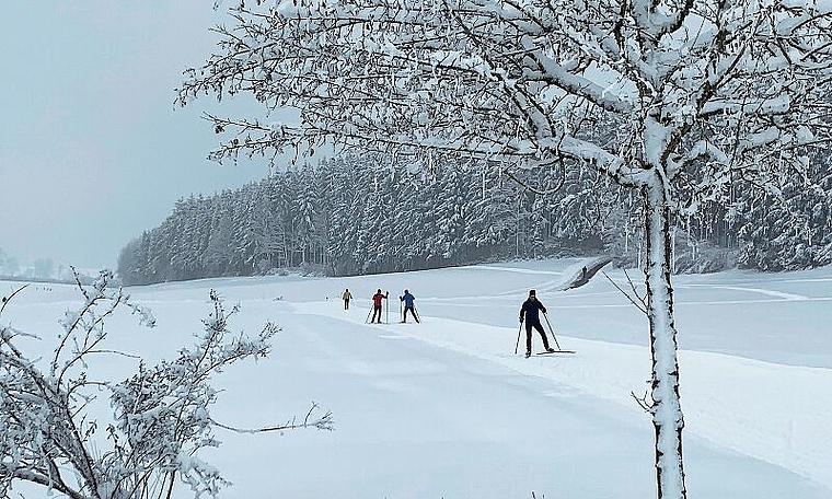 Langläuferherz, was willst du mehr? Die Loipe im Feldenmaas zwischen Affoltern und Bonstetten bot inmitten einer prächtigen Winterlandschaft beste Laufbedingungen für Wintersportler. (Bild Stefan Schneiter)