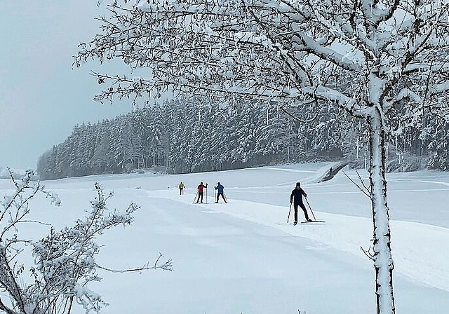 Langläuferherz, was willst du mehr? Die Loipe im Feldenmaas zwischen Affoltern und Bonstetten bot inmitten einer prächtigen Winterlandschaft beste Laufbedingungen für Wintersportler. (Bild Stefan Schneiter)