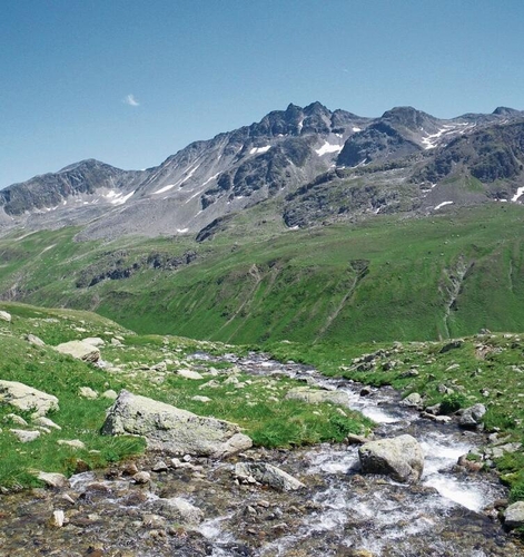 Kristallklarer Bergbach im Val Sartiv. «Das Bild entstand auf der Wanderung vom Sertigtal zur Kesch-Hütte SAC.»