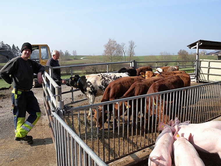 Pirmin (links) und Walter Hurter mit den Schweinen und Rindern, die jederzeit im Aussenbereich Auslauf haben. (Bild Marianne Voss)