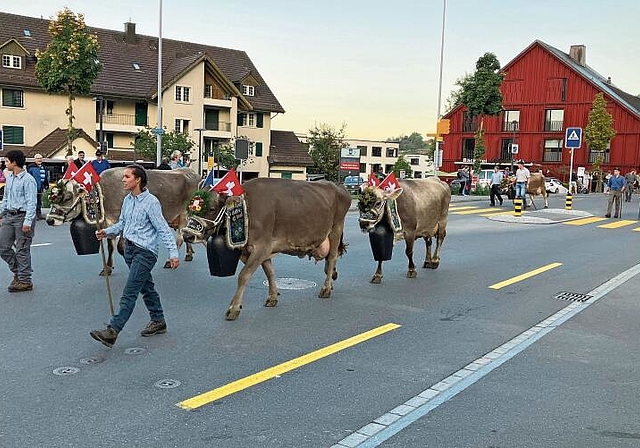 Die geschmückten Tiere gehen durchs Dorf zum Viehschauplatz. (Bild Marianne Voss)