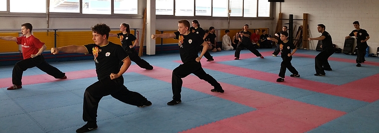 Chin Woo Kung Fu Grundschulübungen
