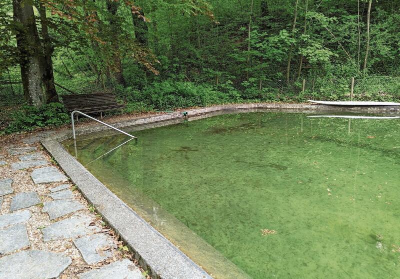 Der Naturpool wurde schon beim Bau des «Mösli» angelegt. Ein Bach hält das Wasser auch ohne Chlor immer frisch.