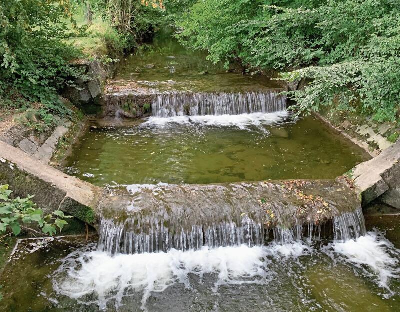 Die künstlichen Schwellen in der Jonen sollen durch fischgängige Rampen ersetzt werden (Bilder Angela Bernetta)