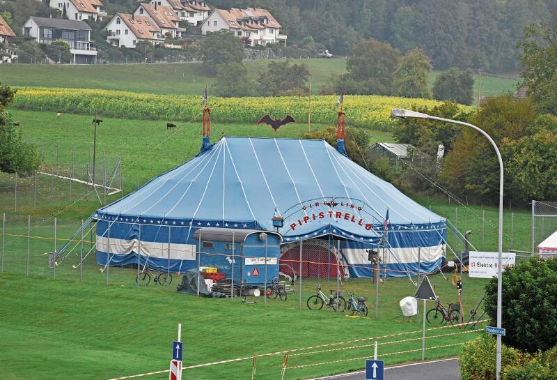 Auf der Butzenwiese in Affoltern steht diese Woche das Zirkuszelt des «Circolino Pipistrello».  (Bilder Dominik Stierli)