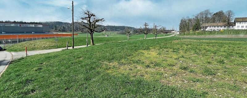 Auf dem Schwanden-Areal in Affoltern, zwischen dem Einrichtungshaus Pfister und der Landwirtschaftsschule, 
wird das Provisorium der neuen Kantonsschule entstehen. (Bild Dominik Stierli)