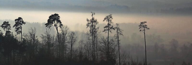 «Die Fotografie entstand im Gebiet Tambrig bei Obfelden», erzählt Beat Gauderon aus Obfelden. Der Blick über die Reussebene im Abendlicht erinnert ihn an einen Regenwald im asiatischen Raum. «Ins richtige Licht gerückt, erhält das Bild eine Tiefe und besondere Mystik», sagt Beat Gauderon zu diesem speziellen Bild.