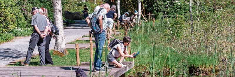 Eines der beliebtesten Fotosujets im Park – neben den Blüten: die Frösche im grossen Teich.