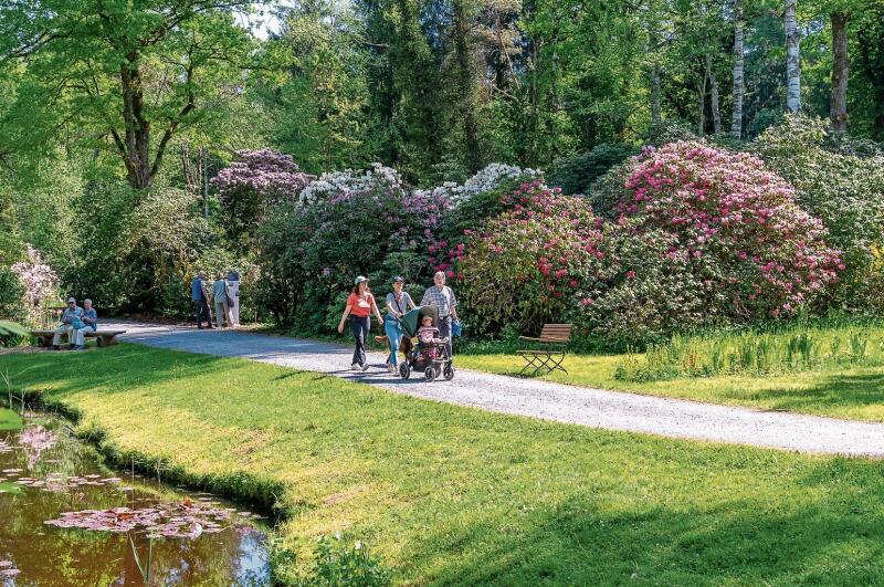 Besucherinnen und Besucher im 120000 Quadratmeter grossen Park in Rifferswil.
