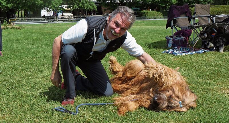 Stefan Eberle aus Neschwil im Zürcher Oberland nimmt schon seit etwa 35 Jahren an Hundeausstellungen teil. 
Sein neunjähriger Briard Dundee stammt aus der Pfalz. (Bilder Claudia Maag)