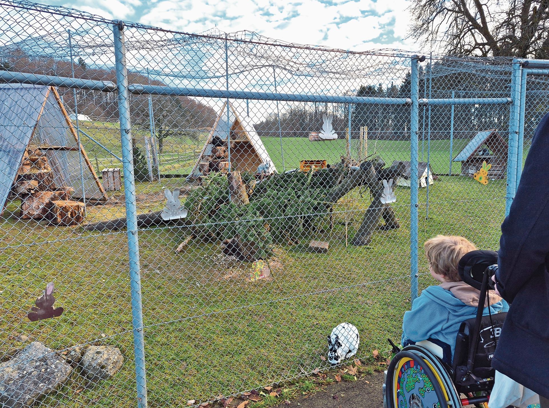 Die kleinen Reha-Patienten haben grosse Freude daran, die Kaninchen im neu umgestalteten Gehege beim Hoppeln, Graben und dank erhöhter Ebenen mitunter sogar beim Klettern zu beobachten. (Bilder zvg) Die kleinen Reha-Patienten haben grosse Freude daran, die Kaninchen im neu umgestalteten Gehege beim Hoppeln, Graben und dank erhöhter Ebenen mitunter sogar beim Klettern zu beobachten. (Bilder zvg)