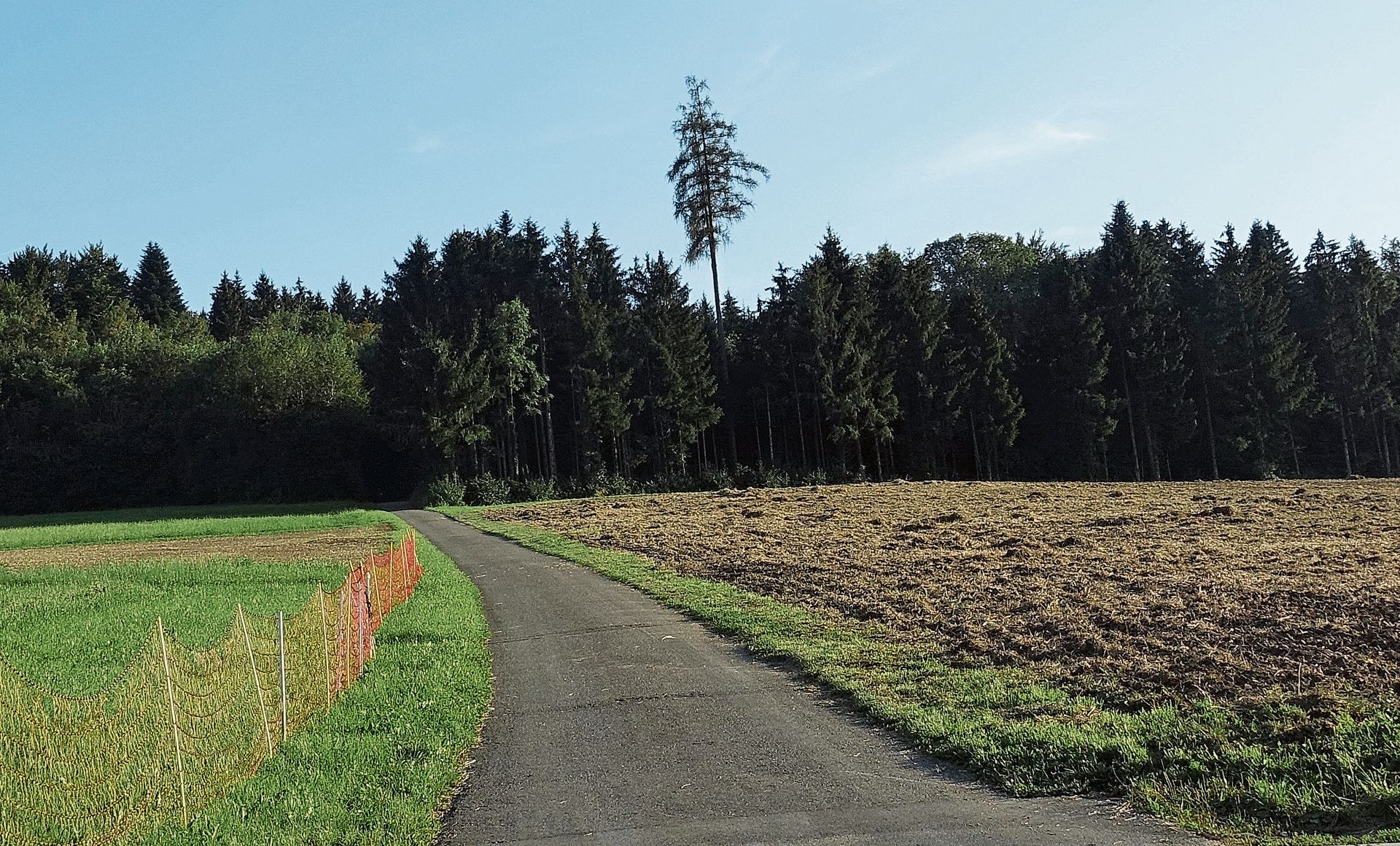 Bonstetten ist von den Eignungsgebieten Nummer 38 (Himelsbüel) und 51 (Birch) betroffen. (Bild Marcus Weiss) Bonstetten ist von den Eignungsgebieten Nummer 38 (Himelsbüel) und 51 (Birch) betroffen. (Bild Marcus Weiss)