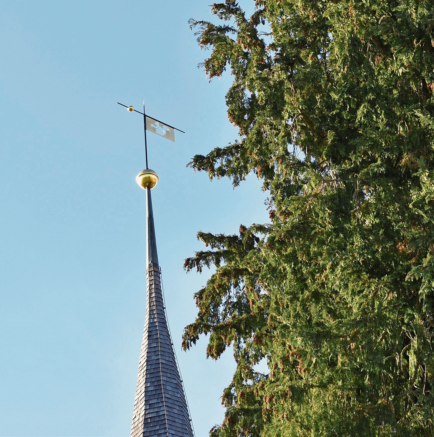 Das Eichhörnchen in der Wetterfahne auf dem Kirchturm. Das Eichhörnchen in der Wetterfahne auf dem Kirchturm.