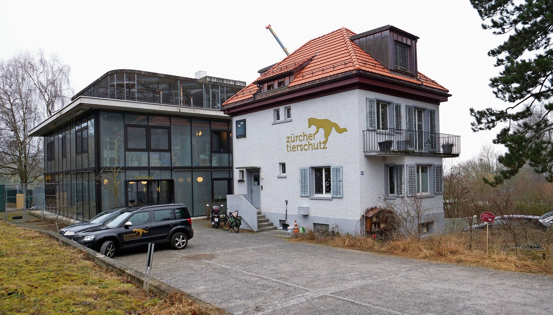 Das Tierheim des Vereins Zürcher Tierschutz liegt direkt neben dem Züri Zoo.