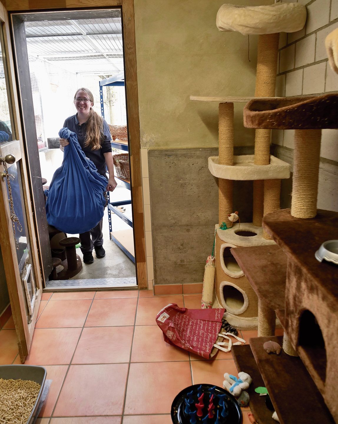 Hurra, Platzierung erfolgreich – eine Tierpflegerin bereitet eines der Katzenzimmer im Tierheim des ATs für den nächsten Gast vor.