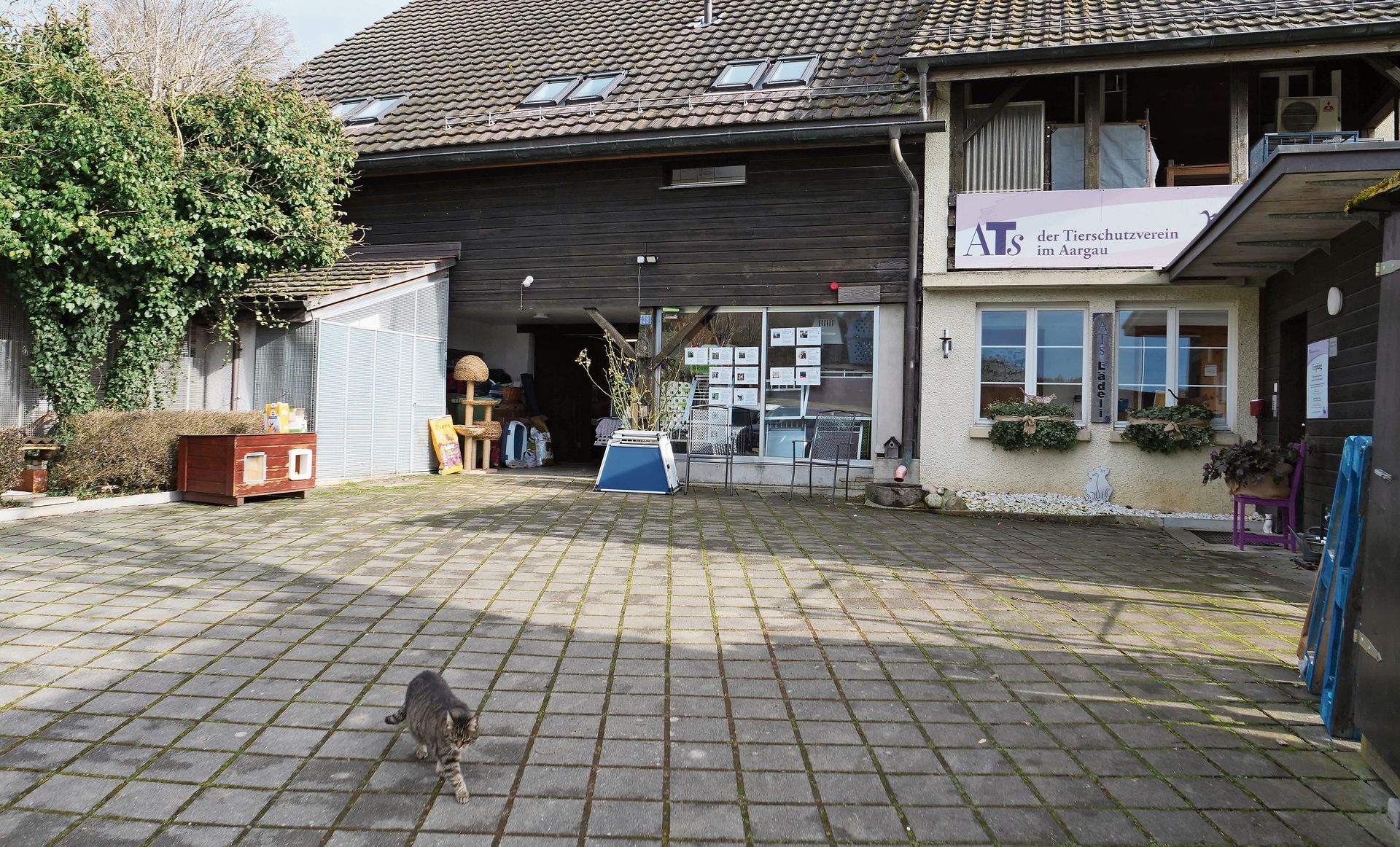 Das Tierheim des Aargauischen Tierschutzvereins ATs liegt fernab von einer Siedlung, sodass die Tiere nicht den städtischen Geräuschen ausgesetzt sind – und umgekehrt die Bewohnerinnen und Bewohner vom Untersiggenthal nicht dem Hundegebell und dem Katzenmiauen. (Bilder Claudia Eugster)