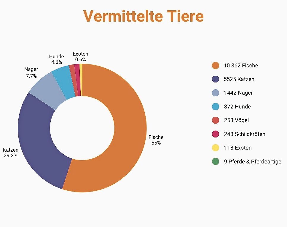 Wenn mehr Tiere aufgenommen werden müssen als vermittelt werden können, dann sind die Tierheime irgendwann überlastet. (Grafik STS-Tierschutzstatistik 2024) Wenn mehr Tiere aufgenommen werden müssen als vermittelt werden können, dann sind die Tierheime irgendwann überlastet. (Grafik STS-Tierschutzstatistik 2024)