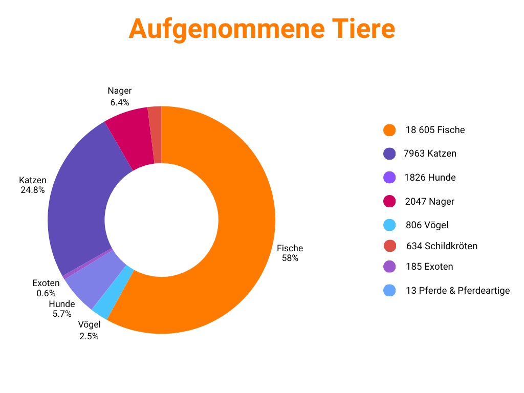 Wenn mehr Tiere aufgenommen werden müssen als vermittelt werden können, dann sind die Tierheime irgendwann überlastet. (Grafik STS-Tierschutzstatistik 2024)