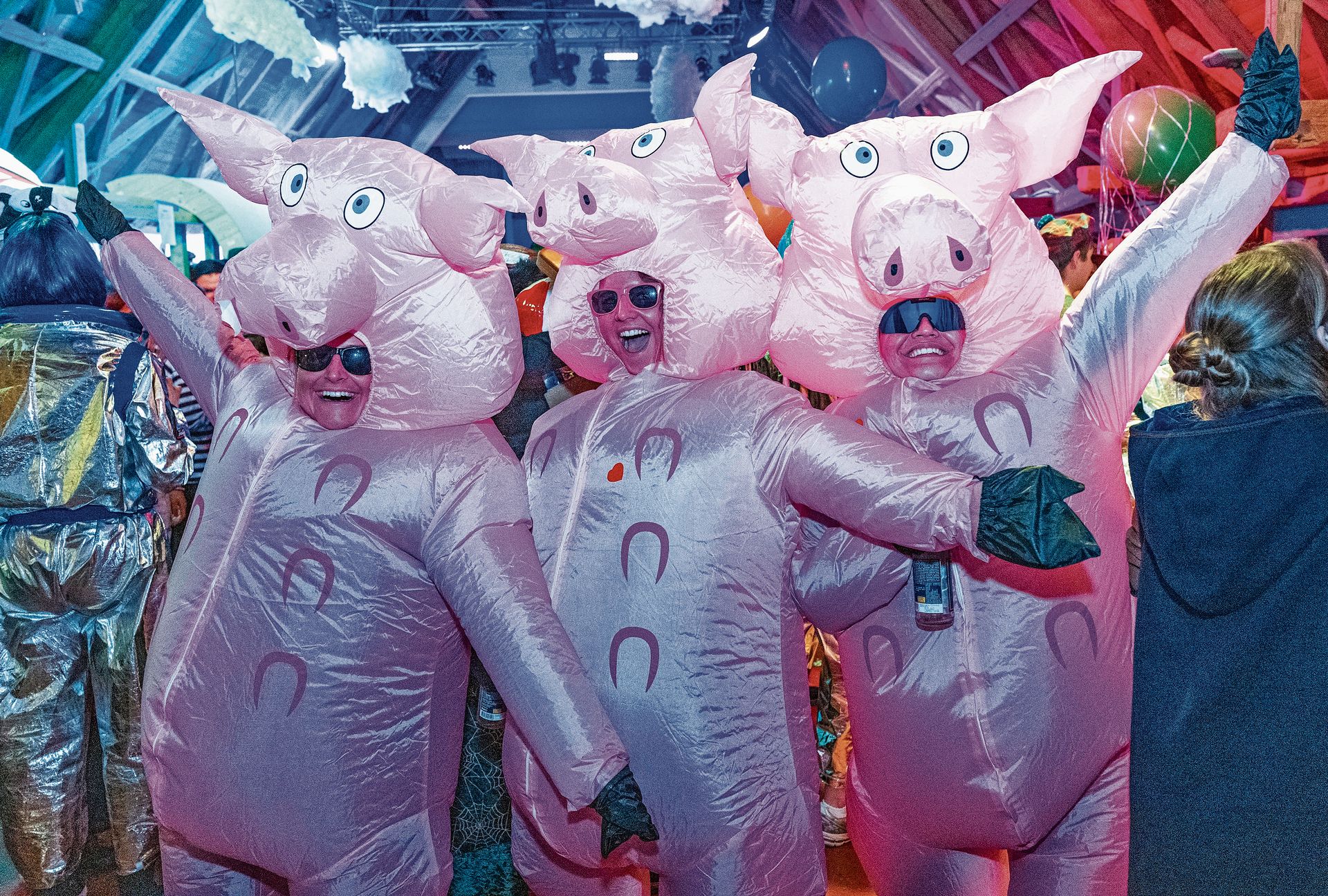 Die Schweine vom Hirzel sind los und fanden ihren Weg nach Kappel. Die Schweine vom Hirzel sind los und fanden ihren Weg nach Kappel. (Bild Nico Ilic)