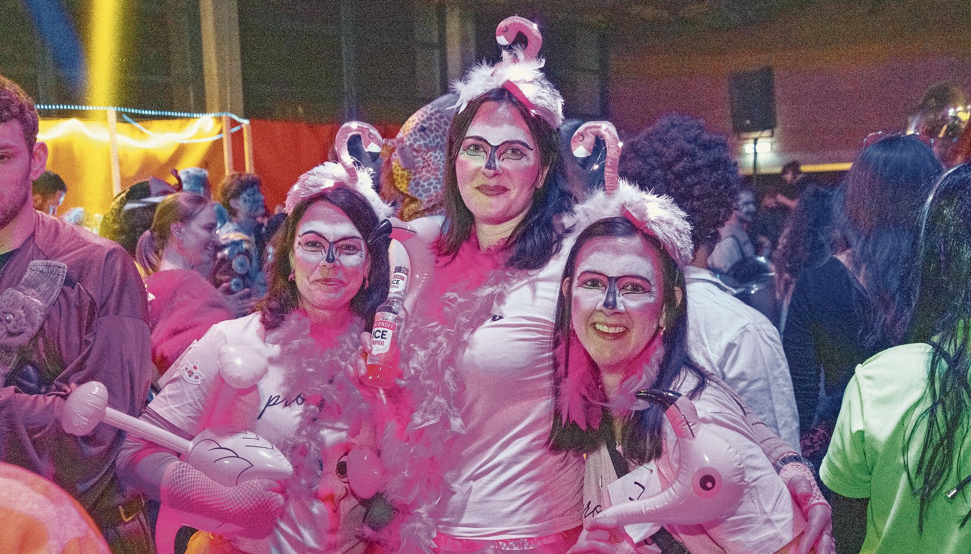 Die Flamingos aus Zwillikon hatten keinen langen Flug zum Maskenball.