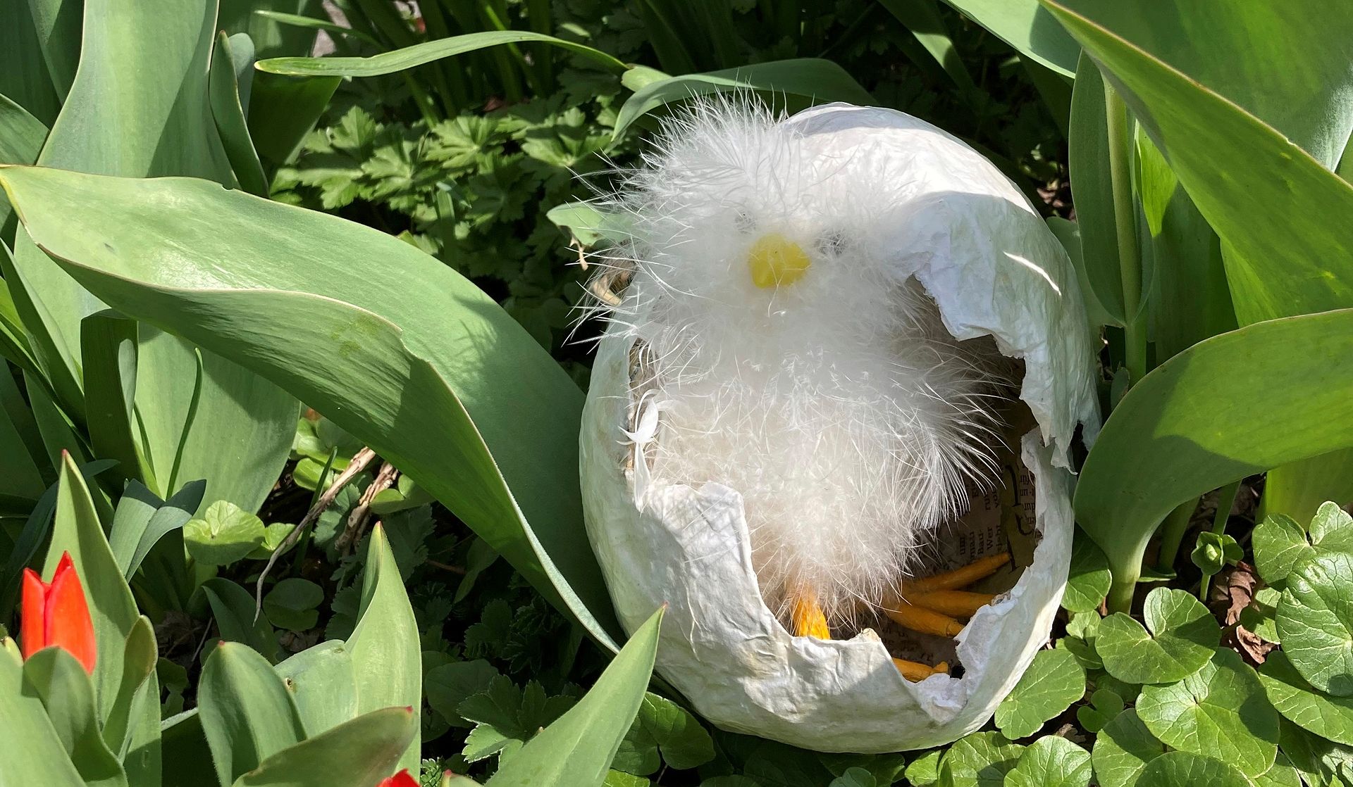 «So wie ein junges Küken, das aus der harten Schale herausschlüpft, kann es auch uns im Leben widerfahren, dass wir wieder zurückfinden in die Verbundenheit und in die Lebensfreude», sagt Pfarrerin Irene Girardet Fischer. (Bild zvg)