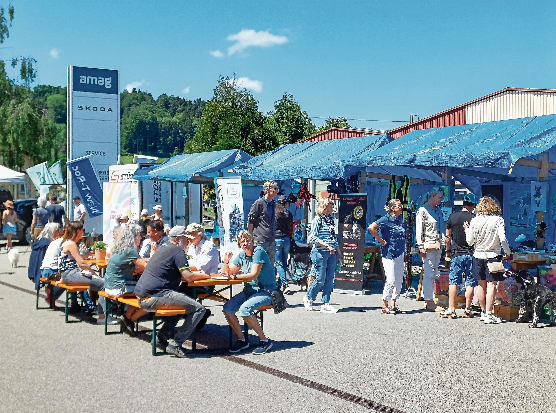 Hundeaffine Menschen, regionale Anbieter und Fachleute genossen in sommerlicher Marktatmosphäre ein Potpourri an Unterhaltung, Kulinarik und Informationen. 