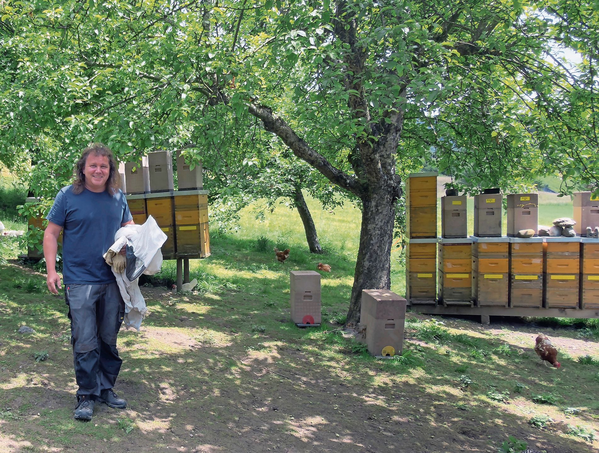 Mit der Ernte kann begonnen werden, sobald die Bienen die Waben mit einer feinen Wachsschicht versiegeln. Mit der Ernte kann begonnen werden, sobald die Bienen die Waben mit einer feinen Wachsschicht versiegeln.