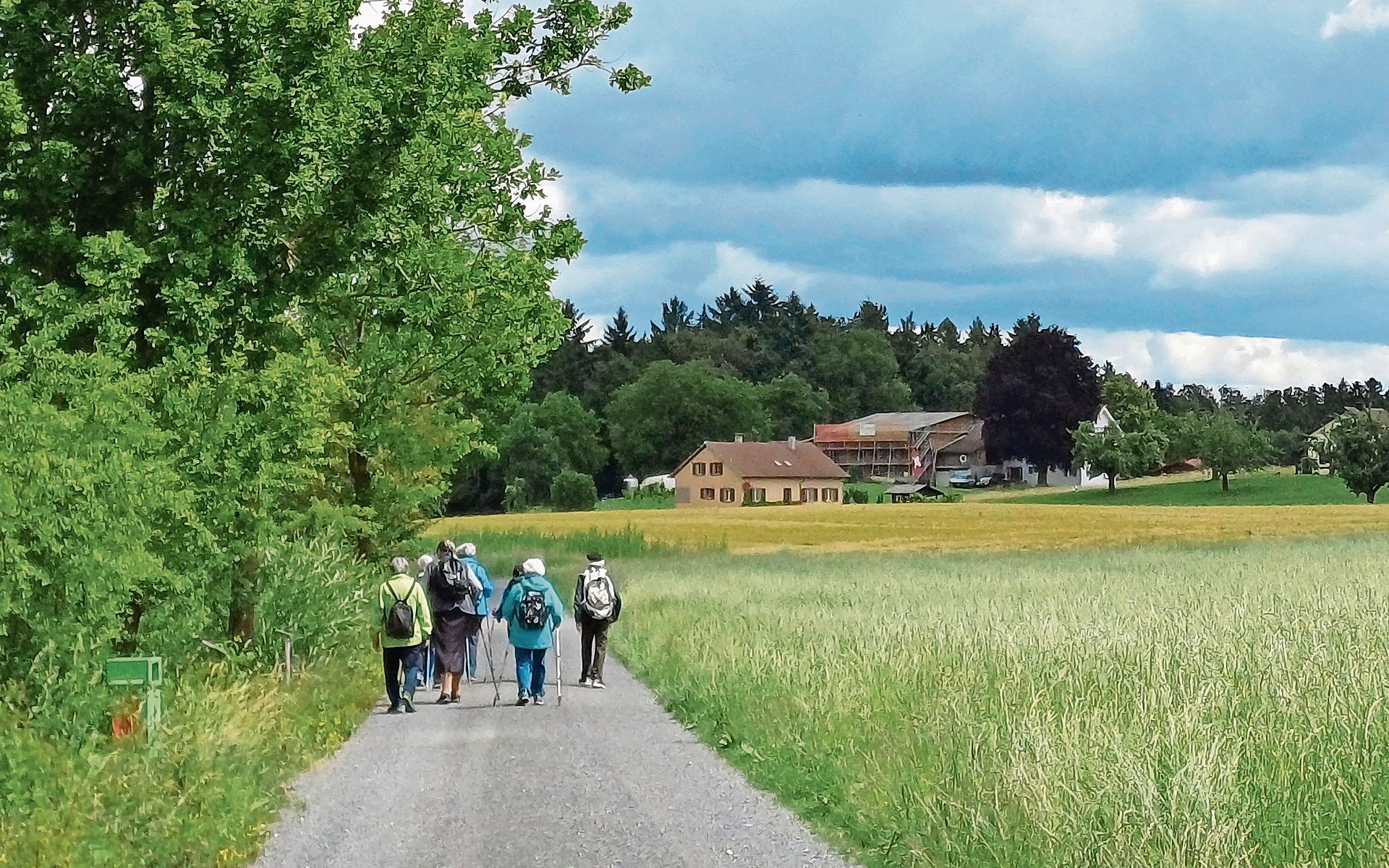Die «Wandergruppe gemütlich» legte den Weg von Beinwil im Freiamt nach Merenschwand zurück. Nur kurz fiel etwas erfrischender Regen. (Bilder Regula Zellweger) Die «Wandergruppe gemütlich» legte den Weg von Beinwil im Freiamt nach Merenschwand zurück. Nur kurz fiel etwas erfrischender Regen. (Bilder Regula Zellweger)