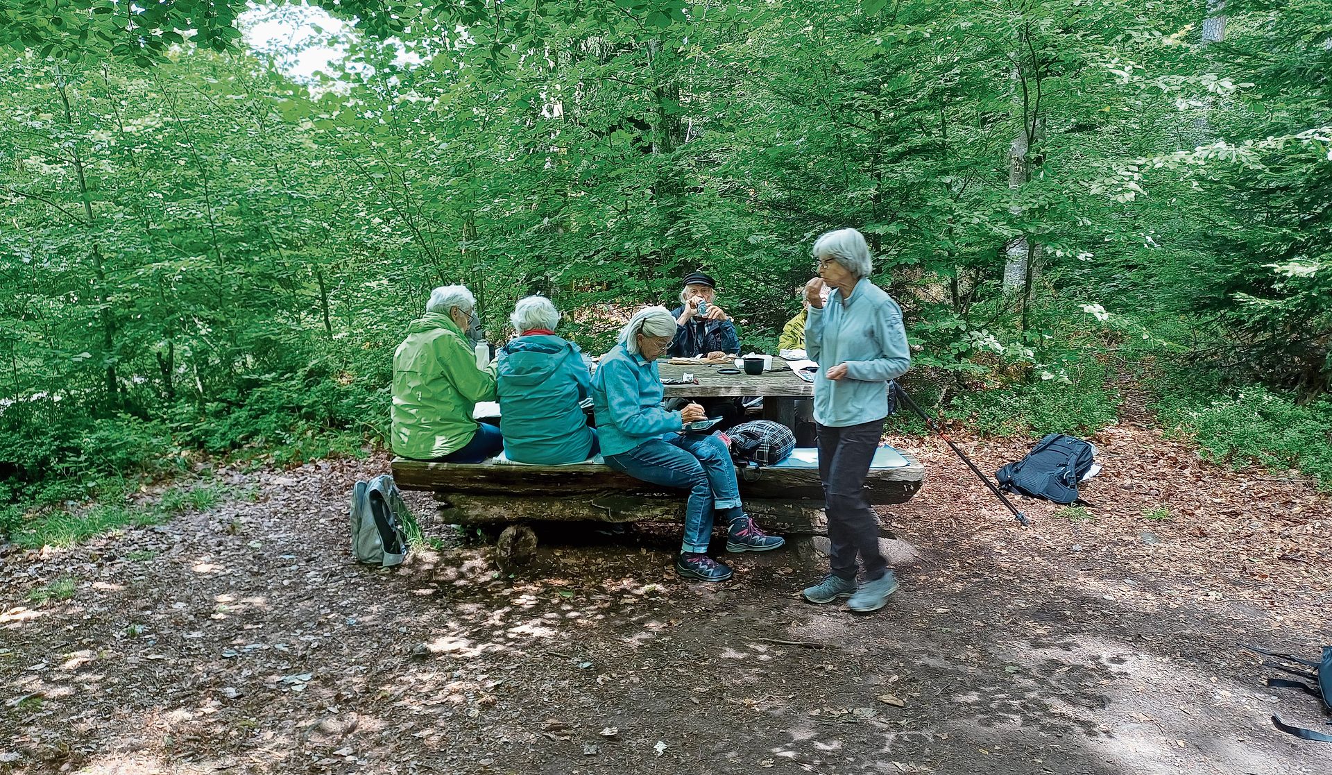 An einer lauschigen Picknickstelle rasteten die Seniorinnen und Senioren und nutzten die Mittagszeit zum Essen und Plaudern. An einer lauschigen Picknickstelle rasteten die Seniorinnen und Senioren und nutzten die Mittagszeit zum Essen und Plaudern.