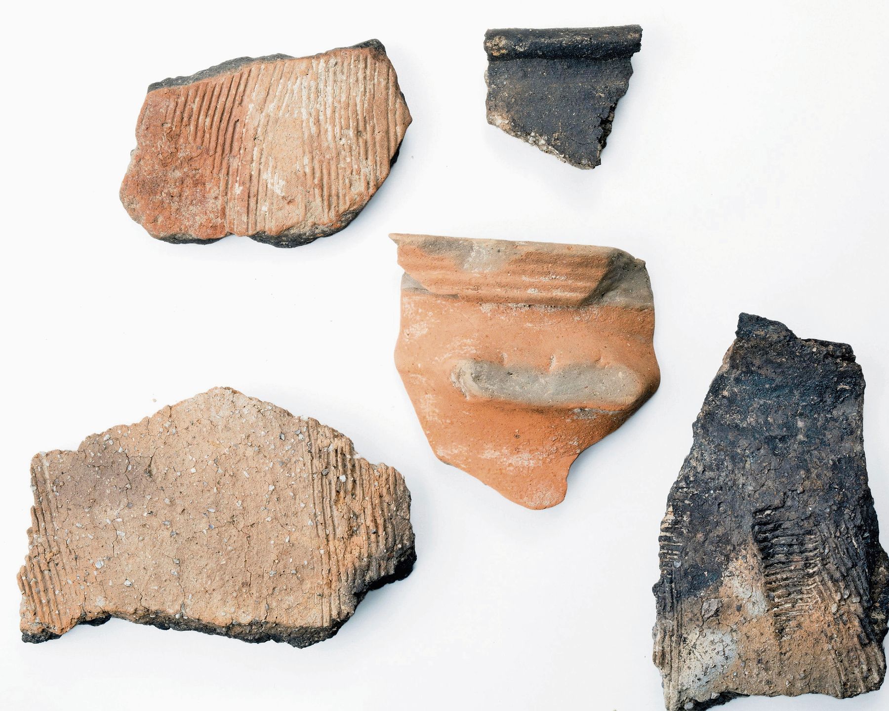 Frührömische Keramik von der Fundstelle Aeugst-Brunnenstube. (Bild M. Bachmann, Kantonsarchäologie Zürich) Frührömische Keramik von der Fundstelle Aeugst-Brunnenstube. (Bild M. Bachmann, Kantonsarchäologie Zürich)