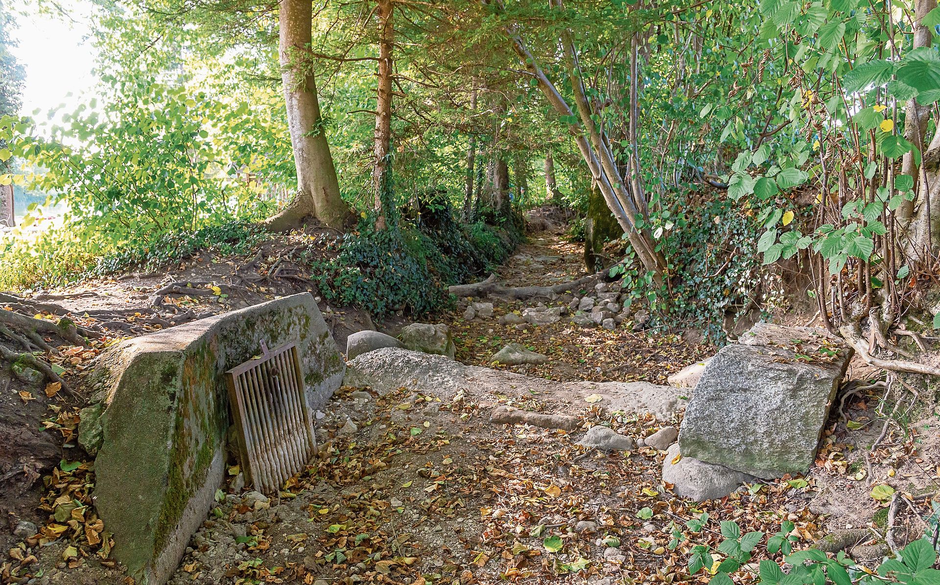 Führt schon seit rund drei Monaten kein Wasser mehr: der kleine Bach beim Hedinger Weiher. Durch das Gitter links wird normalerweise der Weiher mit Frischwasser versorgt. Führt schon seit rund drei Monaten kein Wasser mehr: der kleine Bach beim Hedinger Weiher. Durch das Gitter links wird normalerweise der Weiher mit Frischwasser versorgt.