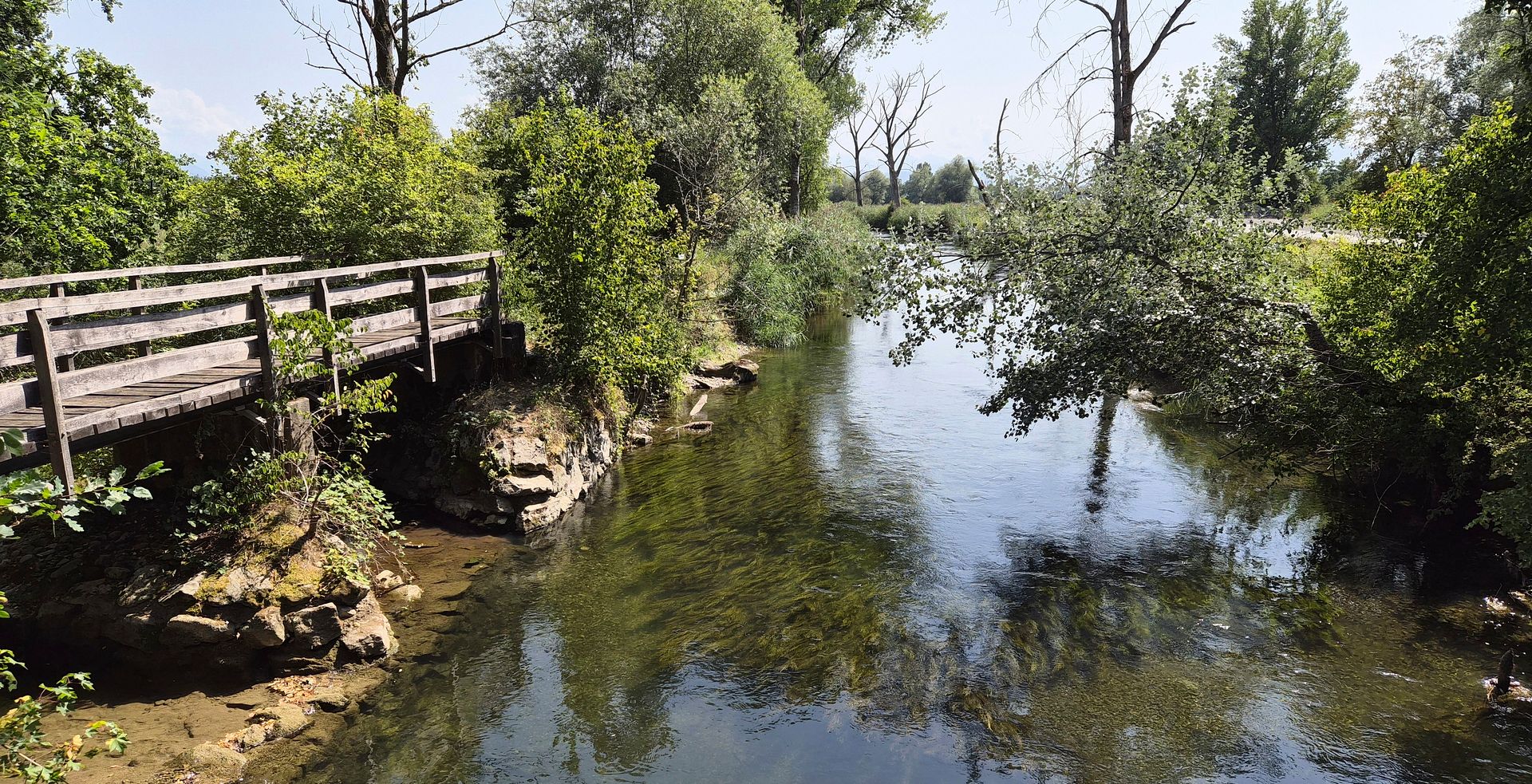 Auch die Lorze führt wenig Wasser, aber der Fischbestand ist nicht gefährdet – im Gegensatz zum Haselbach, der bei Maschwanden in die Lorze fliesst (links im Bild). (Bild Werner Schneiter) Auch die Lorze führt wenig Wasser, aber der Fischbestand ist nicht gefährdet – im Gegensatz zum Haselbach, der bei Maschwanden in die Lorze fliesst (links im Bild). (Bild Werner Schneiter)