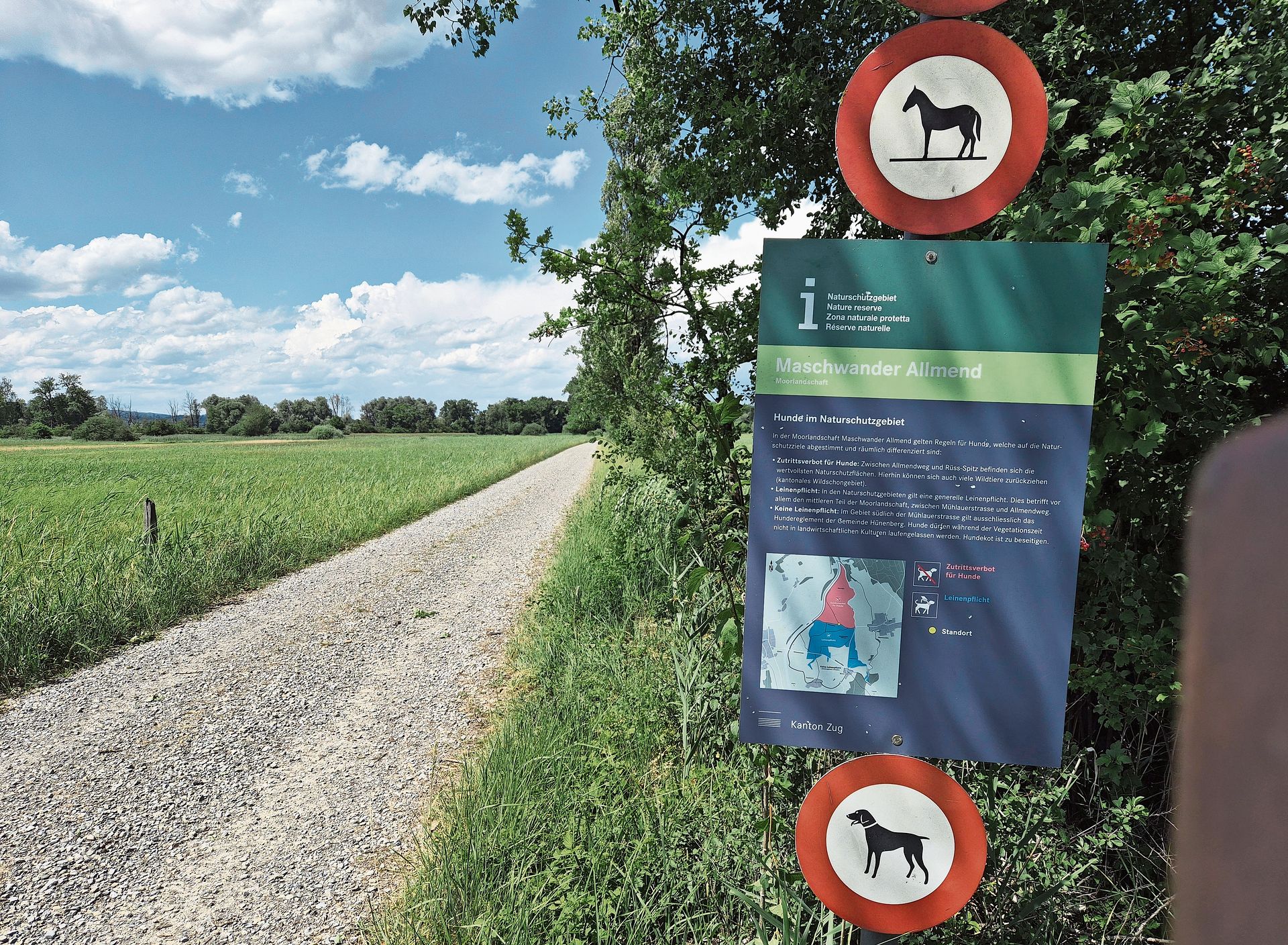 Nördlich des Allmendwegs bis «Rüssspitz»: Zutrittsverbot für Hunde und Pferde. Nördlich des Allmendwegs bis «Rüssspitz»: Zutrittsverbot für Hunde und Pferde.