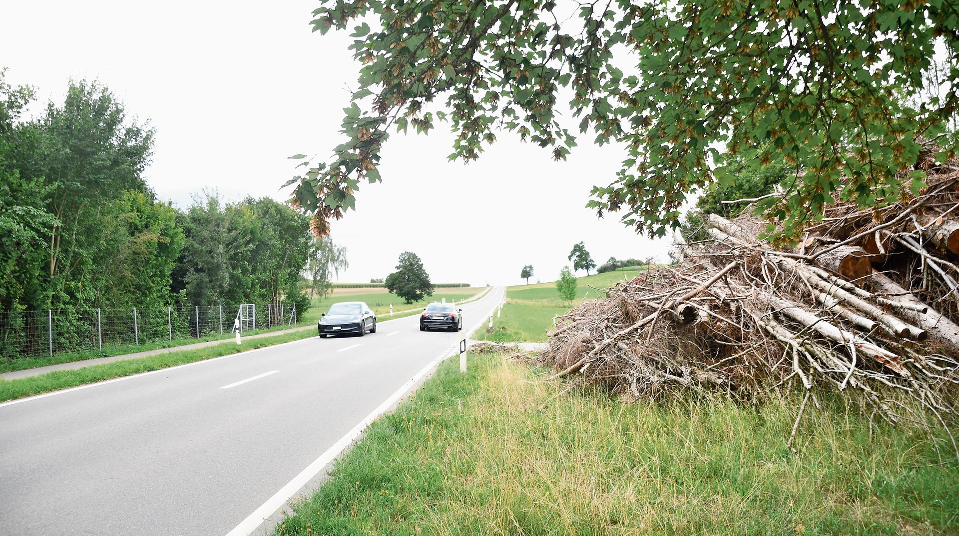 Auf der Albisstrasse zwischen dem Weiler Schonau und Rifferswil werden häufig Raser und Schnellfahrer erwischt. (Bild Werner Schneiter) Auf der Albisstrasse zwischen dem Weiler Schonau und Rifferswil werden häufig Raser und Schnellfahrer erwischt. (Bild Werner Schneiter)
