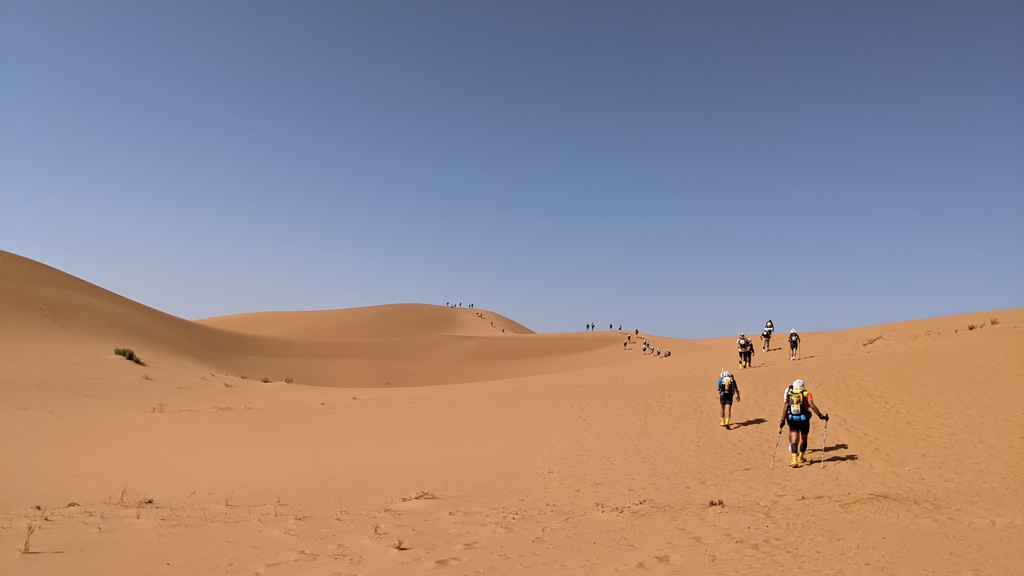 Die Route führte rund 250 Kilometer über die Dünen der Sahara.
