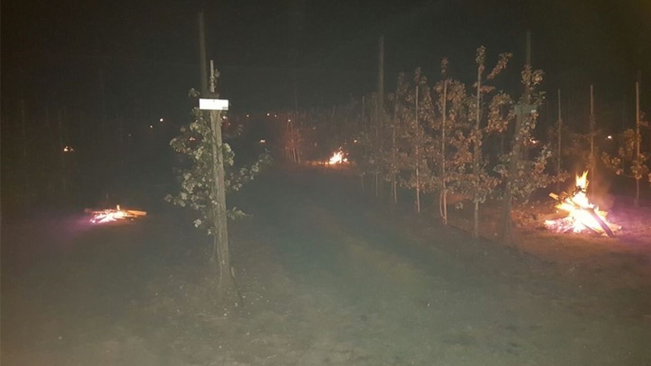 Robert Huber entzündete in den kalten Nächten Feuer in den Fahrgassen seiner Obstplantage. (Bild zvg.) Robert Huber entzündete in den kalten Nächten Feuer in den Fahrgassen seiner Obstplantage. (Bild zvg.)