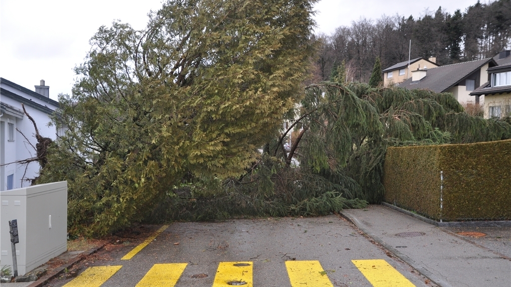 In Bonstetten musste diese Quartierstrassen geräumt werden. (Bild Kaspar Köchli) In Bonstetten musste diese Quartierstrassen geräumt werden. (Bild Kaspar Köchli)