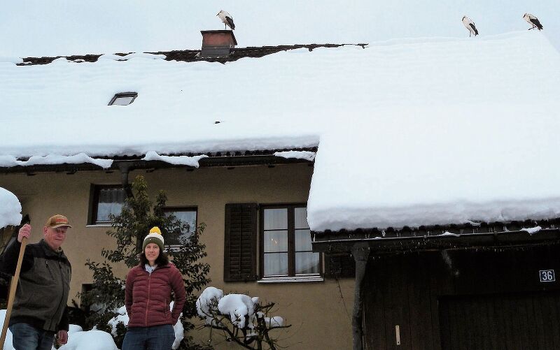 Jean Gut und Nachbarin Mirjam Schüpfer aus der Baaregg wundern sich über die zahlreichen Störche. (Bilder Marianne Voss)