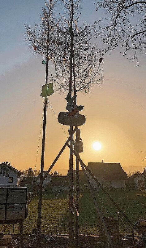 Geburtenreich: Mettmenstetten. (Bild tst.) Geburtenreich: Mettmenstetten. (Bild tst.)