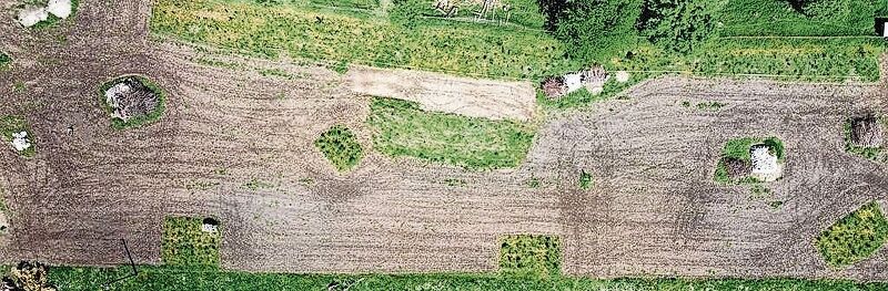 Auf 1,3 Hektaren entsteht in Ottenbach eine Biodiversitätsfläche. Mehr als 60 Blumen- und Gräserarten hat Kurt Hegetschweiler gesät. Auf einem zweiten Landabschnitt (nicht im Bild) ist eine Ruderalfläche geplant. (Bild Marcus Rundnagel)