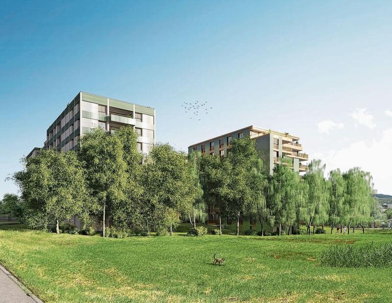 Westansicht des «Brauiparks». (Visualisierungen zvg.)
