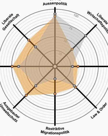 Smartspider-Grafik für den Vergleich der Meinungen. (Screenshot Smartvote)
